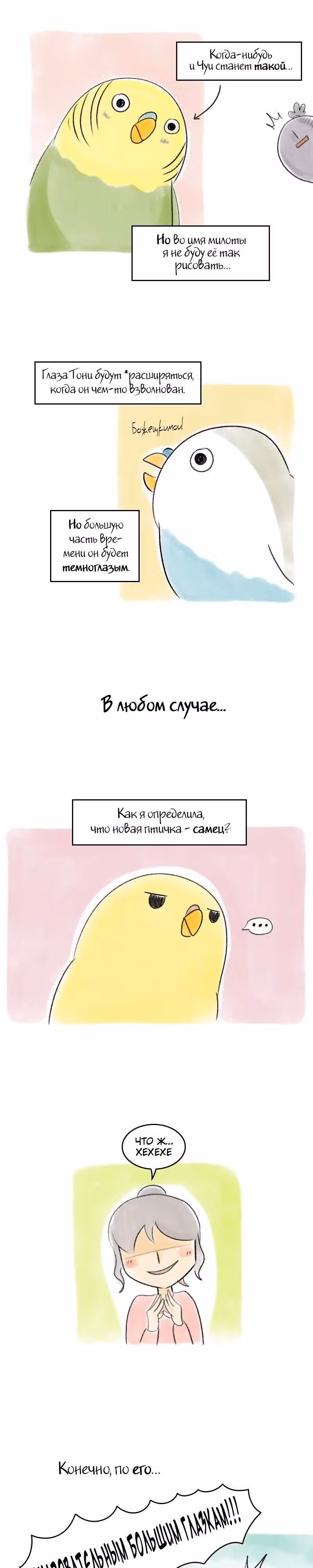Жизнь волнистого попугайчика! — Том 1 · Глава 34, страница 3