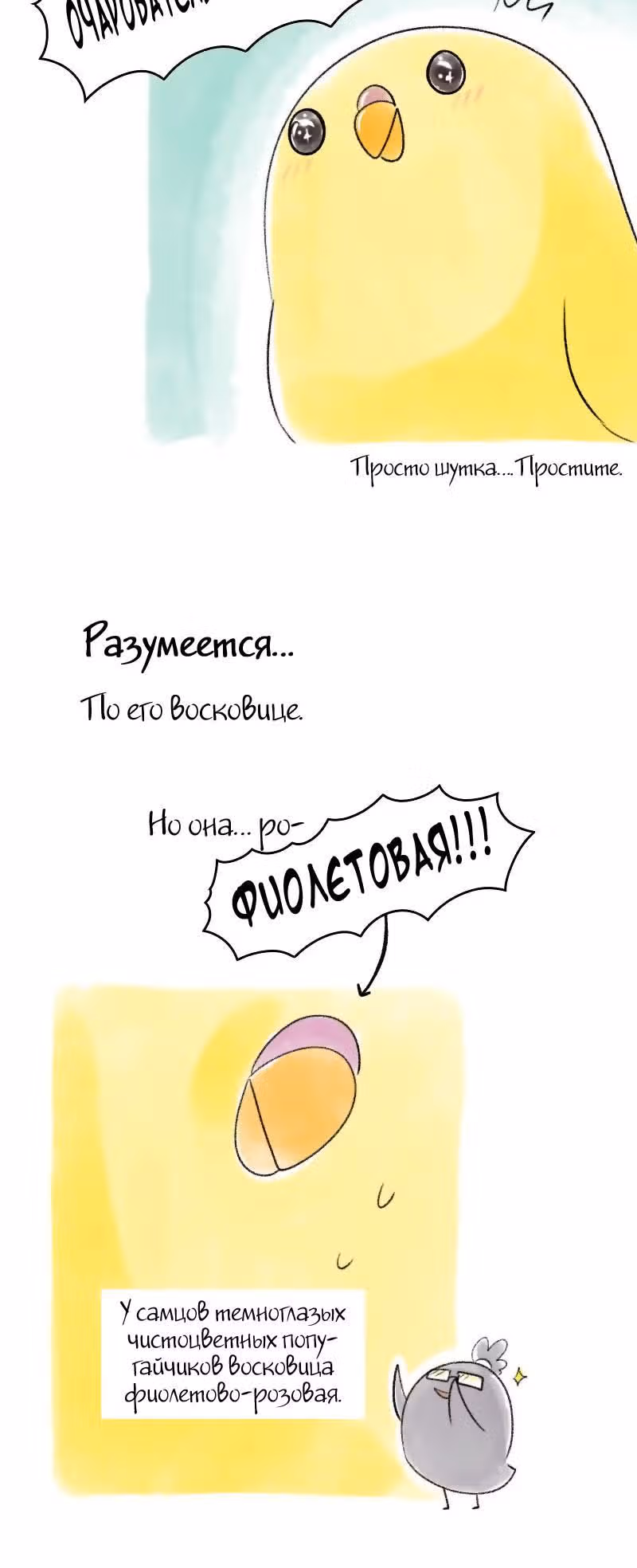 Жизнь волнистого попугайчика! — Том 1 · Глава 34, страница 4