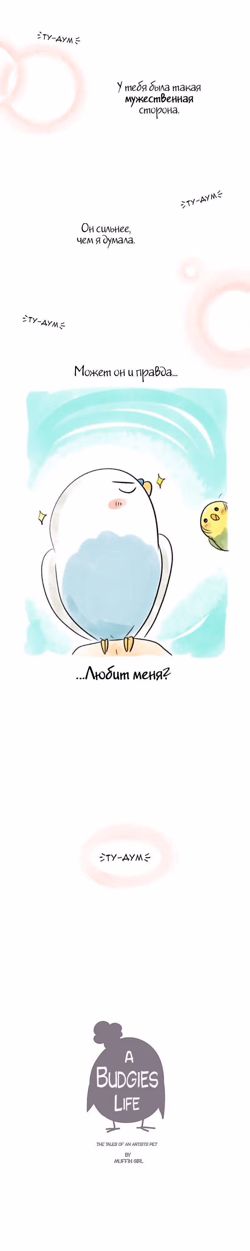 Жизнь волнистого попугайчика! — Том 1 · Глава 37, страница 11