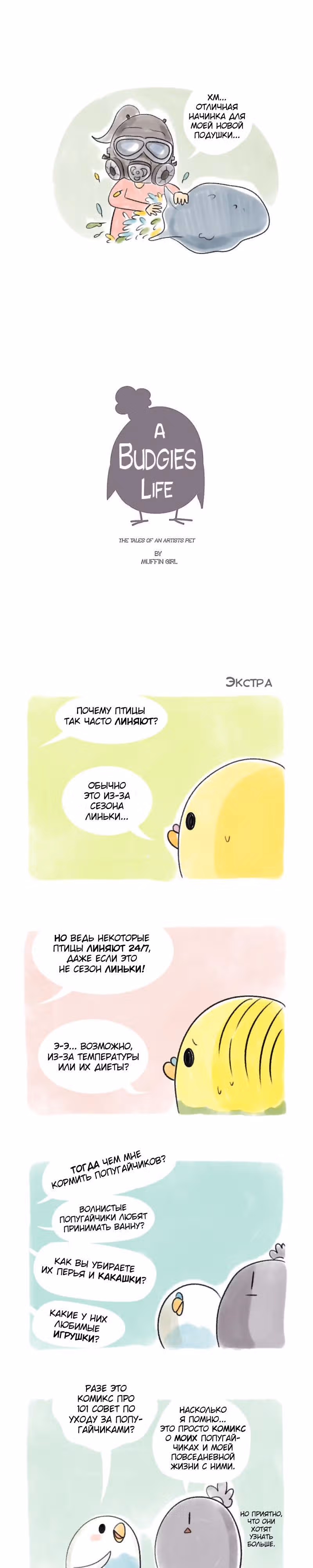 Жизнь волнистого попугайчика! — Том 1 · Глава 38, страница 3