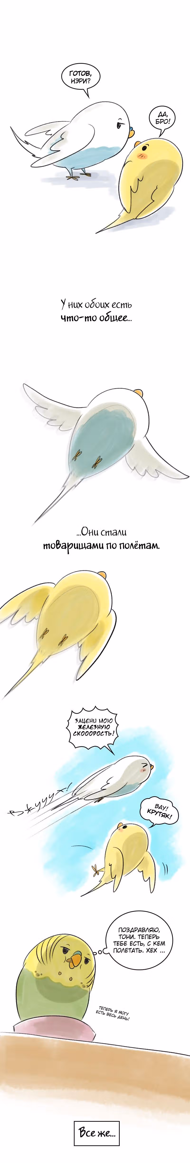 Жизнь волнистого попугайчика! — Том 1 · Глава 40, страница 2