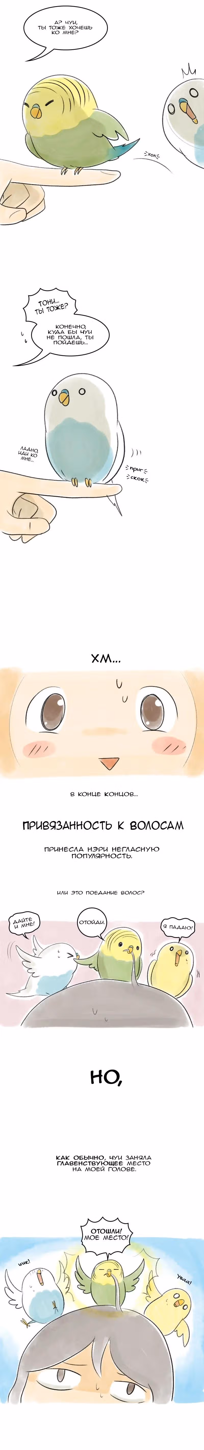 Жизнь волнистого попугайчика! — Том 1 · Глава 45, страница 2