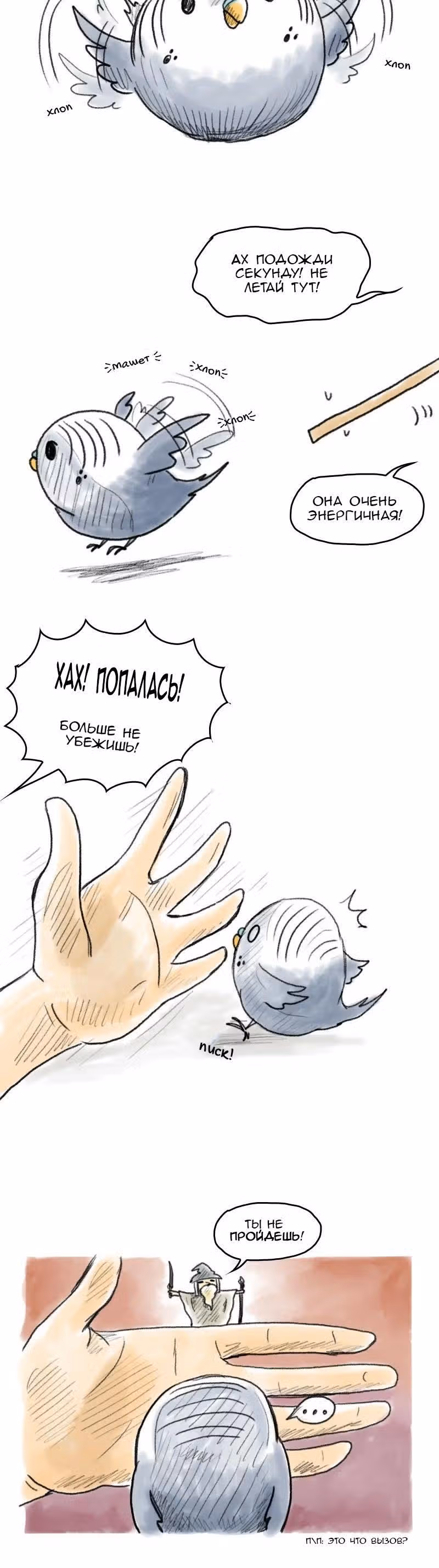 Жизнь волнистого попугайчика! — Том 1 · Глава 48, страница 3