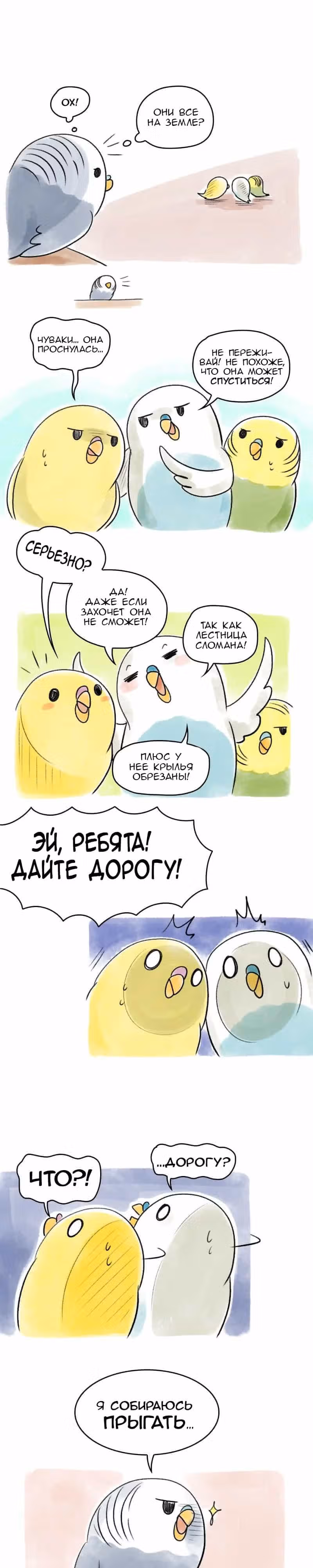 Жизнь волнистого попугайчика! — Том 1 · Глава 50, страница 4
