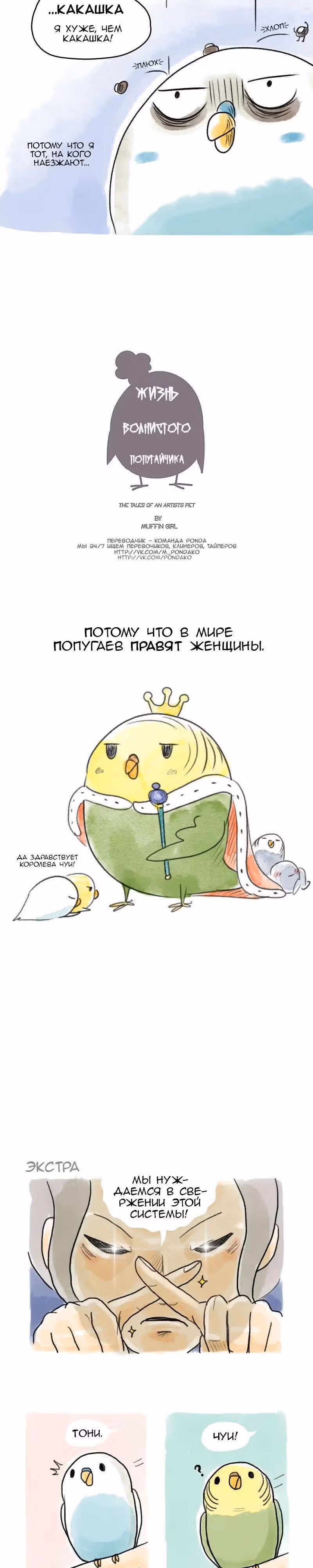 Жизнь волнистого попугайчика! — Том 1 · Глава 54, страница 4