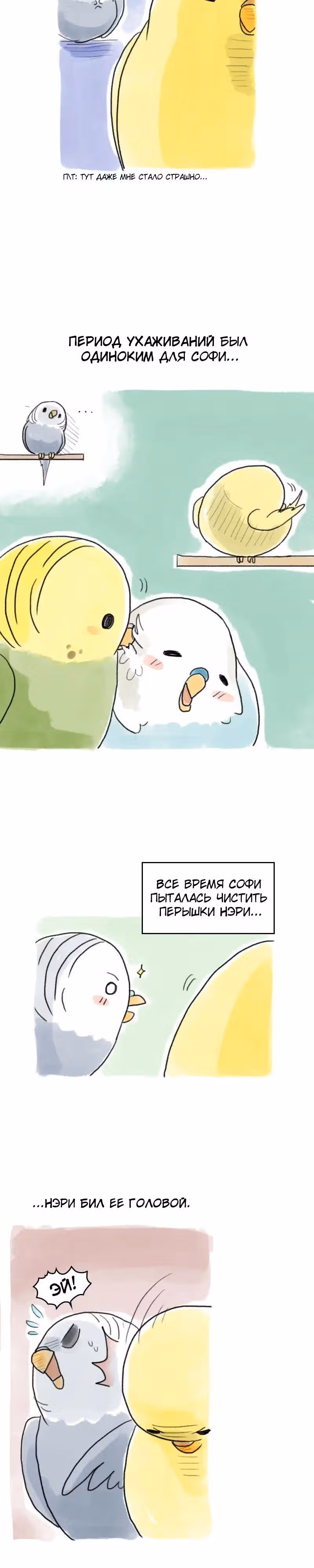 Жизнь волнистого попугайчика! — Том 1 · Глава 58, страница 3
