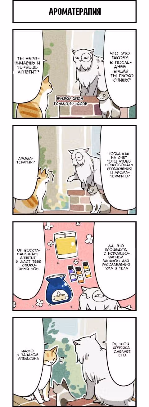 Мы кошки — Том 1 · Глава 9, страница 1