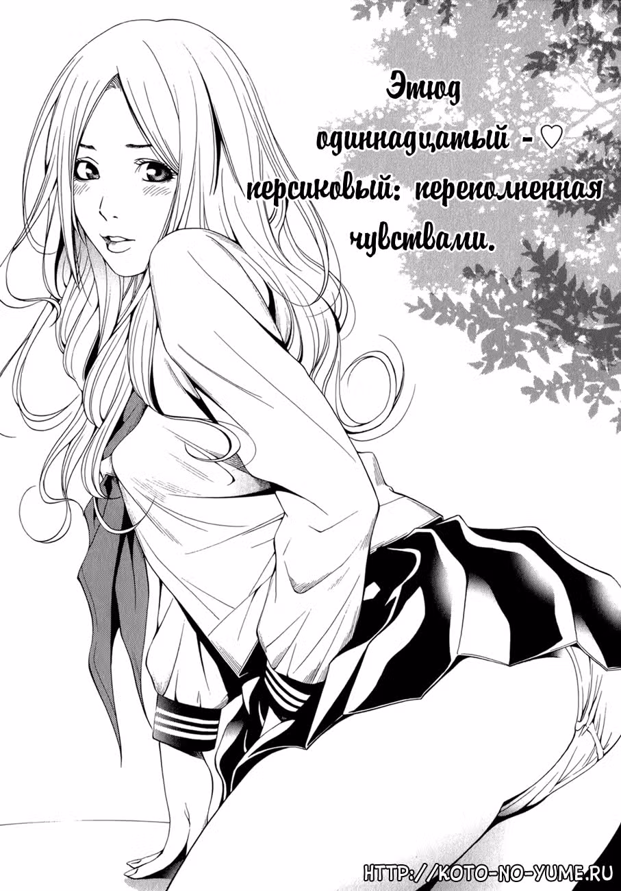 Зефирная эротика — Том 2 · Глава 11, страница 1