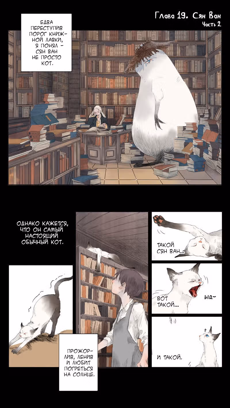 Зачарованная книжная лавка — Том 1 · Глава 19, страница 2