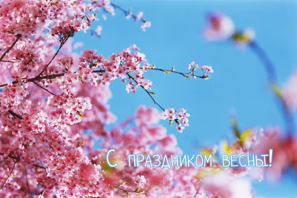 Лицензия — Том 1 · Глава 4, страница 27