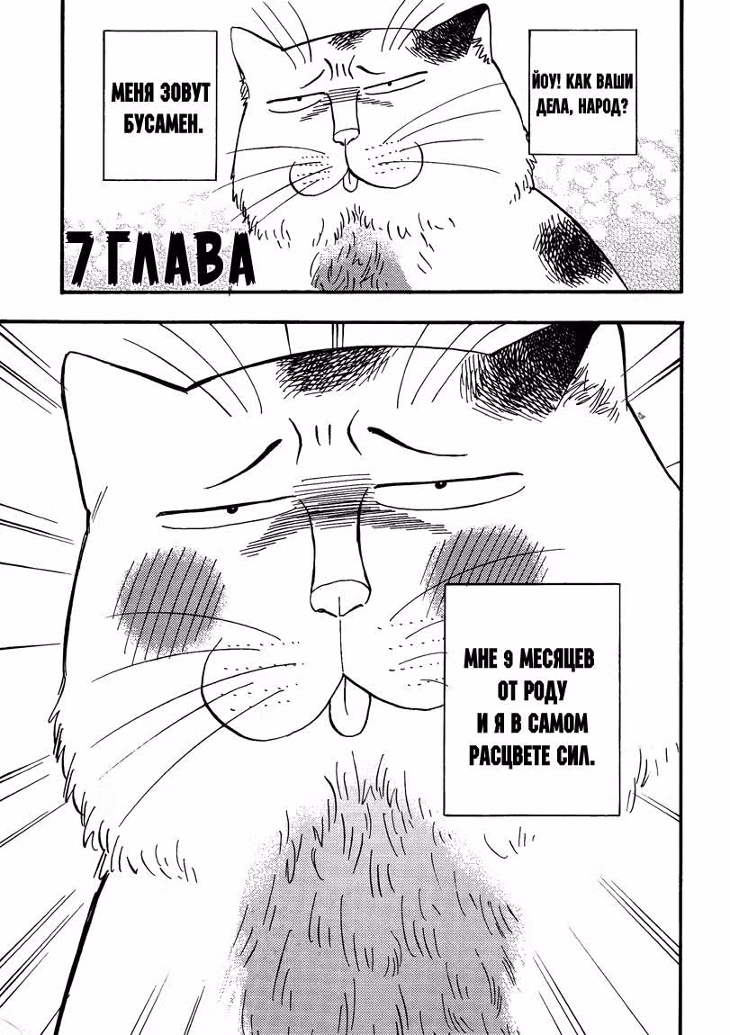 Кот-урод — Том 1 · Глава 7, страница 2