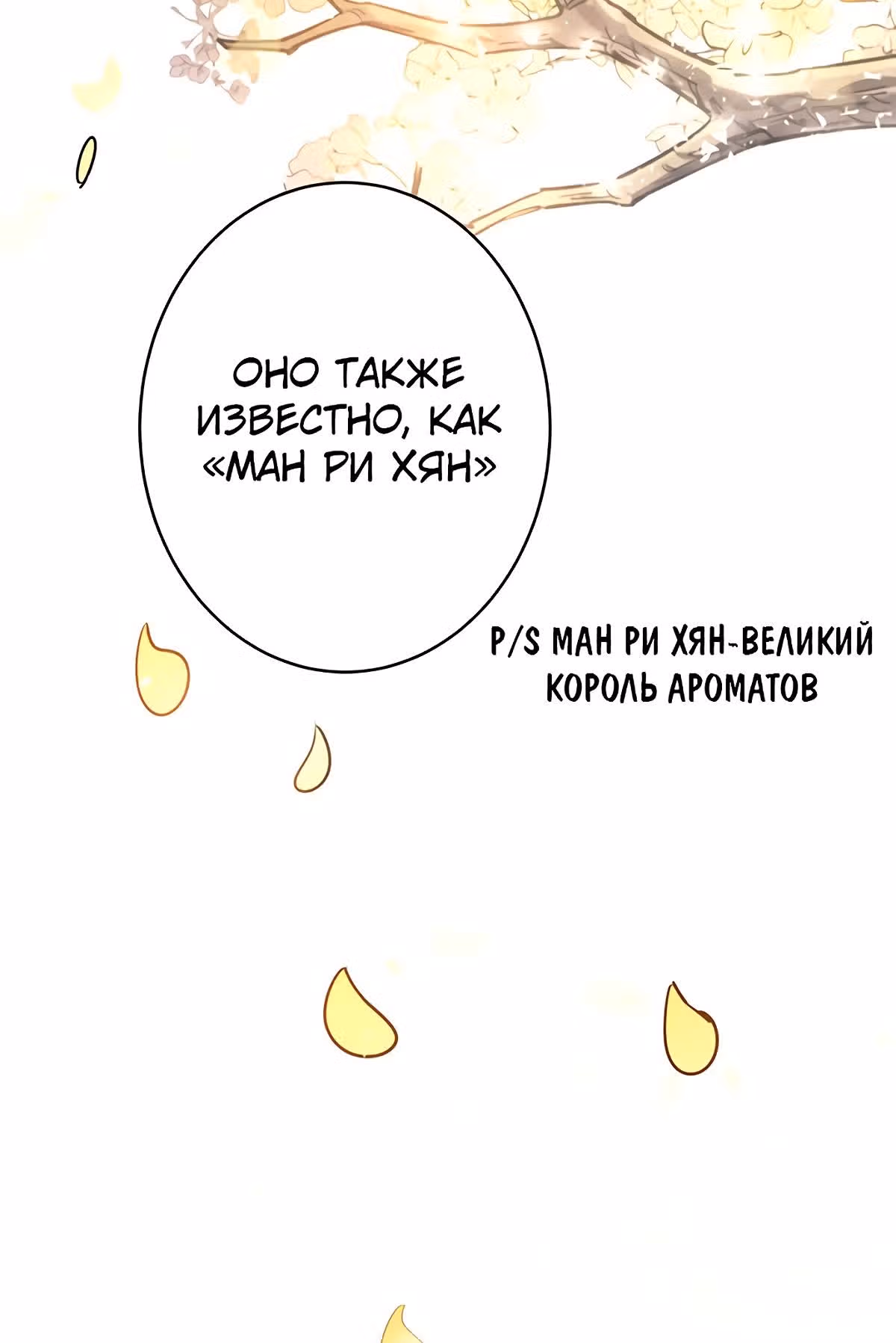Теневая невеста — Том 1 · Глава 3, страница 55