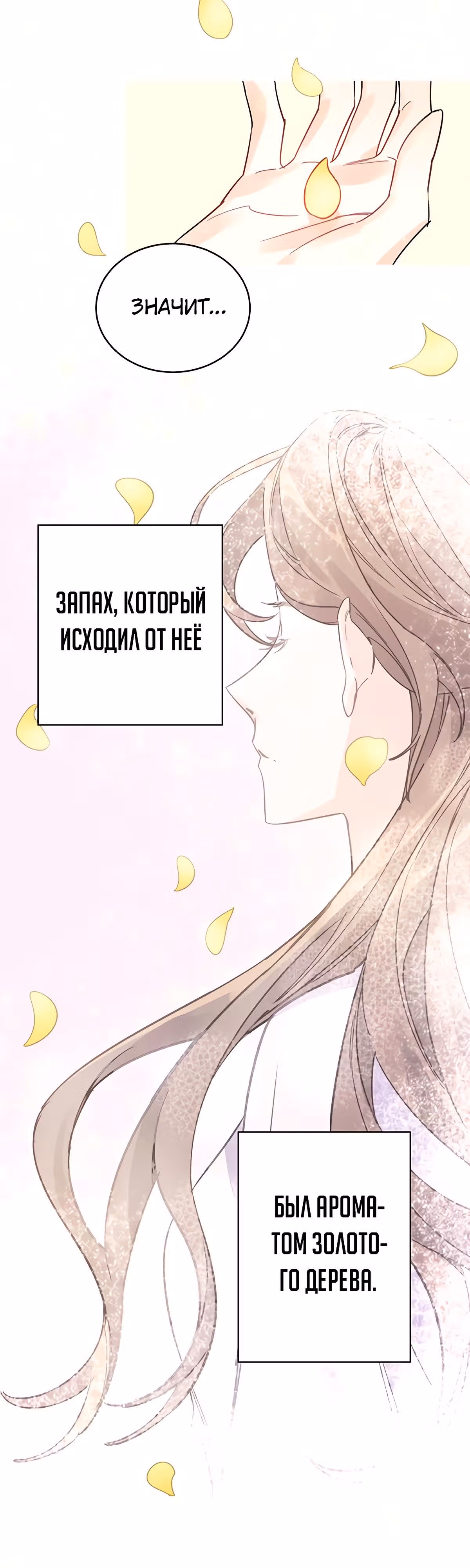 Теневая невеста — Том 1 · Глава 3, страница 56