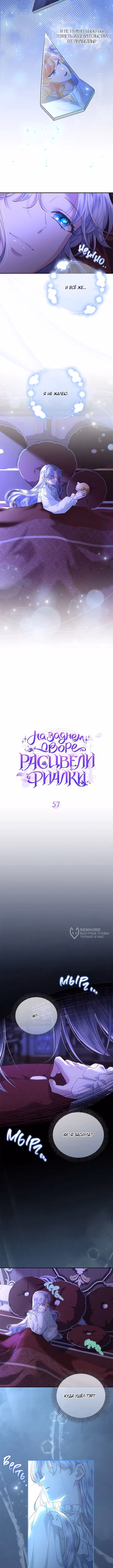 На заднем дворе расцвели фиалки — Том 1 · Глава 57, страница 2