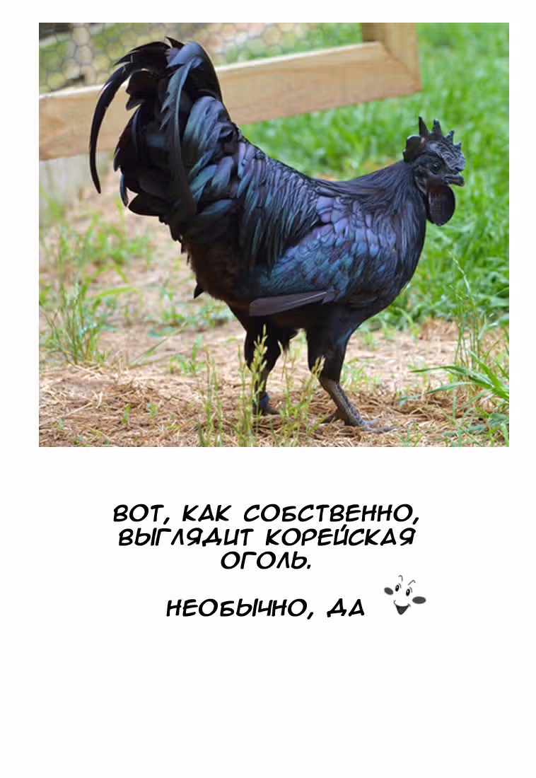 Будь моим любимым — Том 1 · Глава 8, страница 17