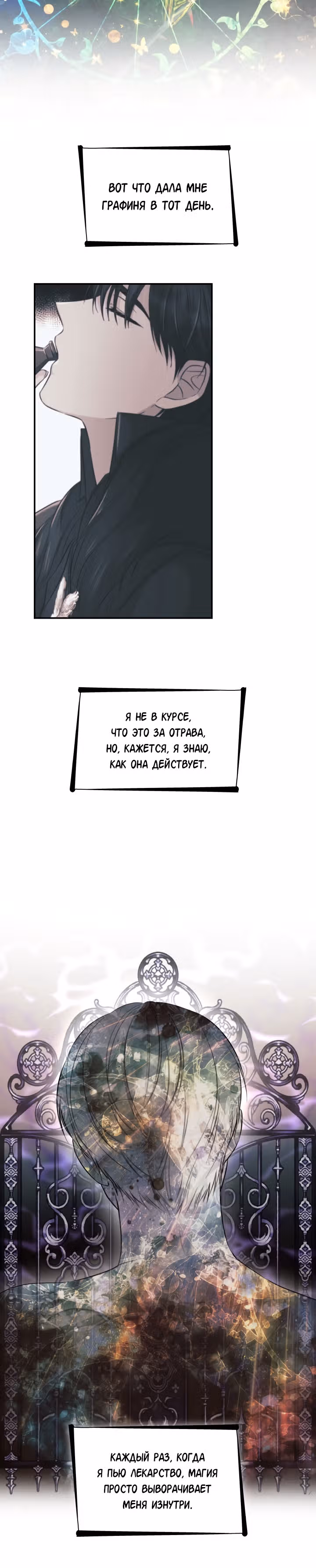 Я освободила безумного герцога — Том 2 · Глава 45, страница 10