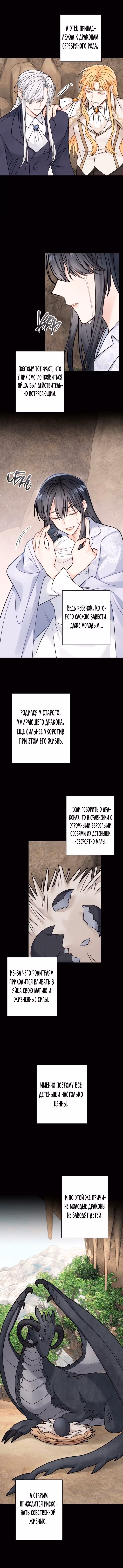 Записи о любви ведьмы и дракона — Том 1 · Глава 109, страница 9