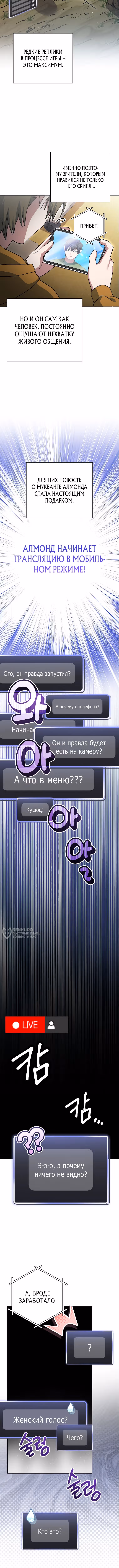 Стрим гениального лучника — Том 1 · Глава 73, страница 6