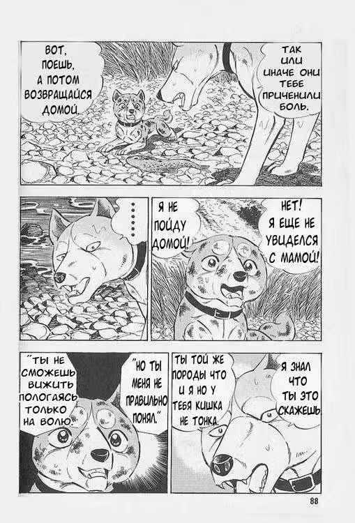 Легенда о Серебряном Клыке Рики — Том 1 · Глава 3, страница 16