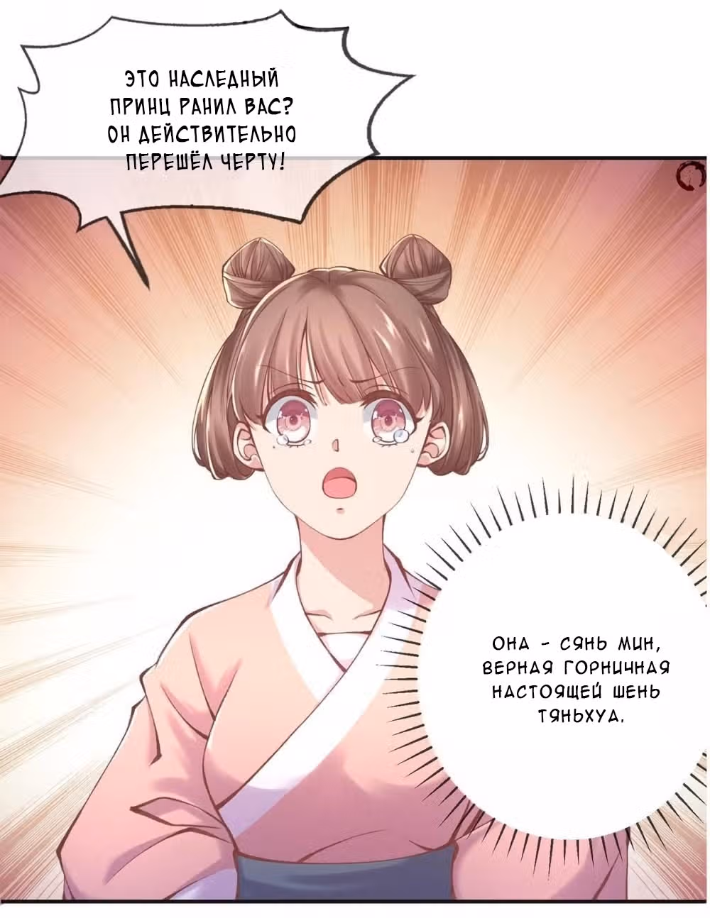 Принцесса — кровожадный хирург — Том 1 · Глава 4, страница 40