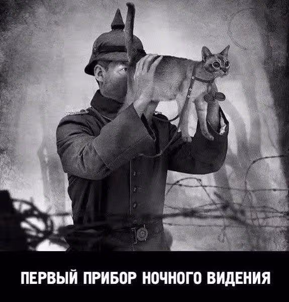 Крутой учитель Онидзука: Ранние годы — Том 26 · Глава 230, страница 21