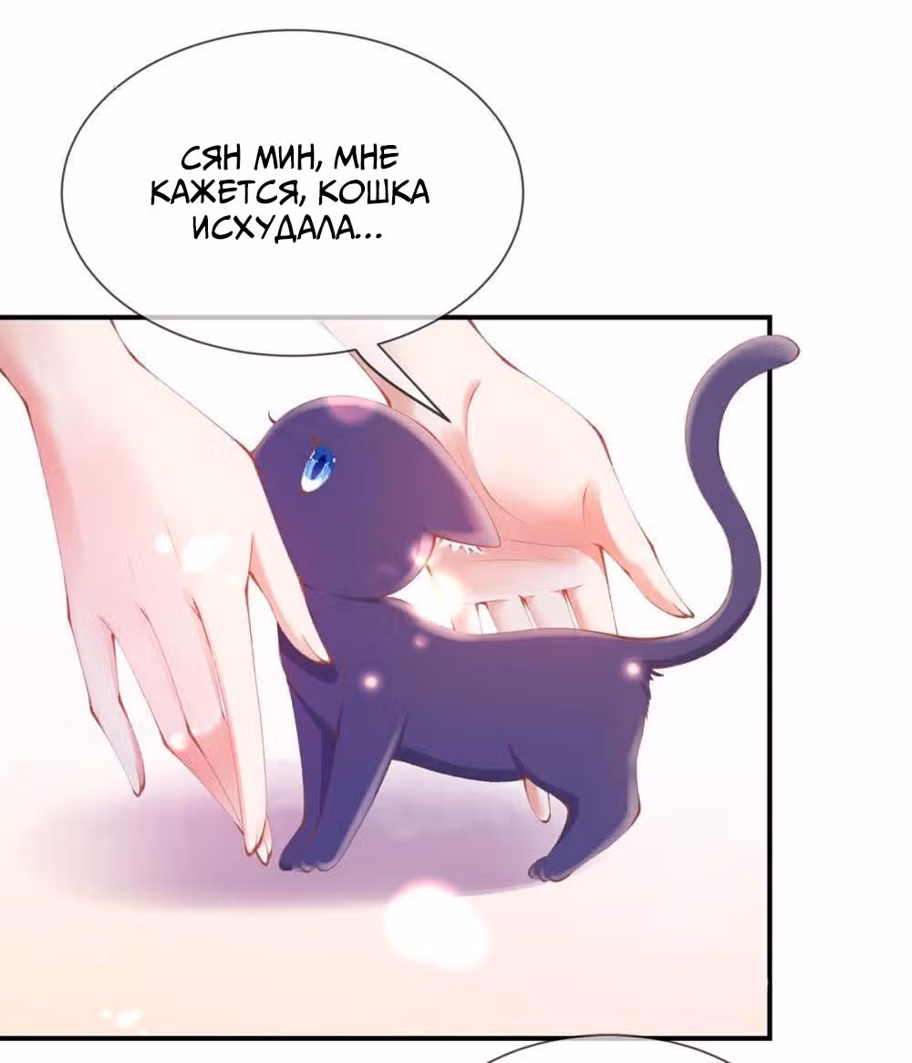 Принцесса — кровожадный хирург — Том 1 · Глава 18, страница 3