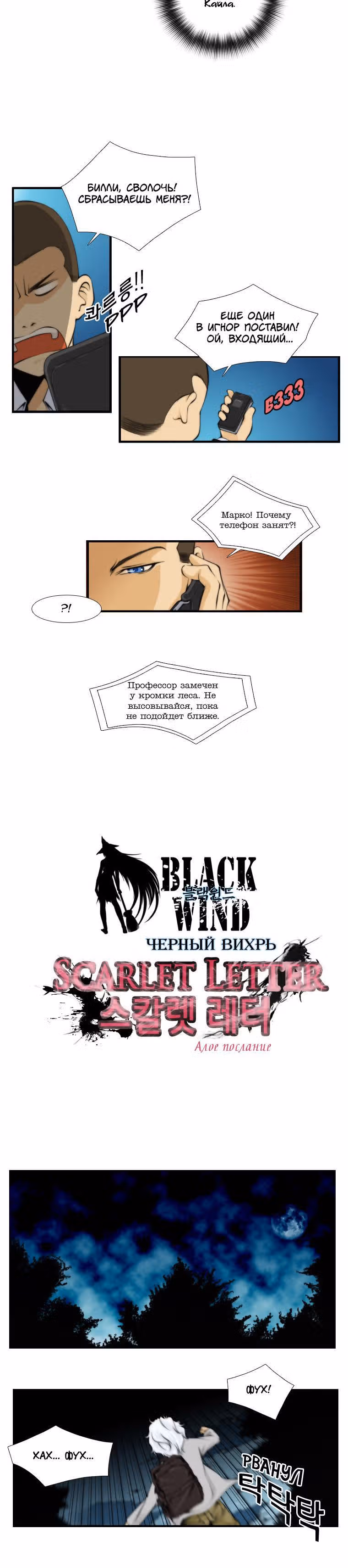 Черный вихрь — Том 2 · Глава 9, страница 8