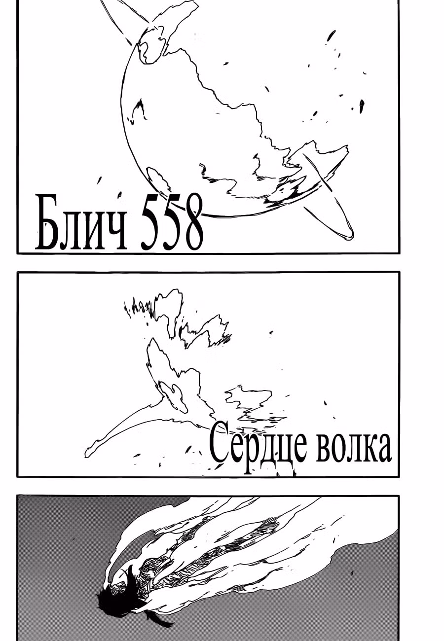 Блич — Том 62 · Глава 558, страница 5