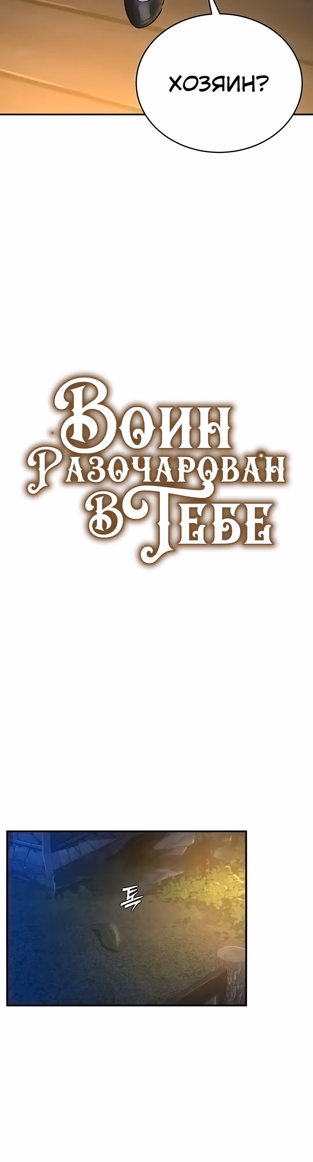 Воин разочарован в тебе — Том 1 · Глава 17, страница 4