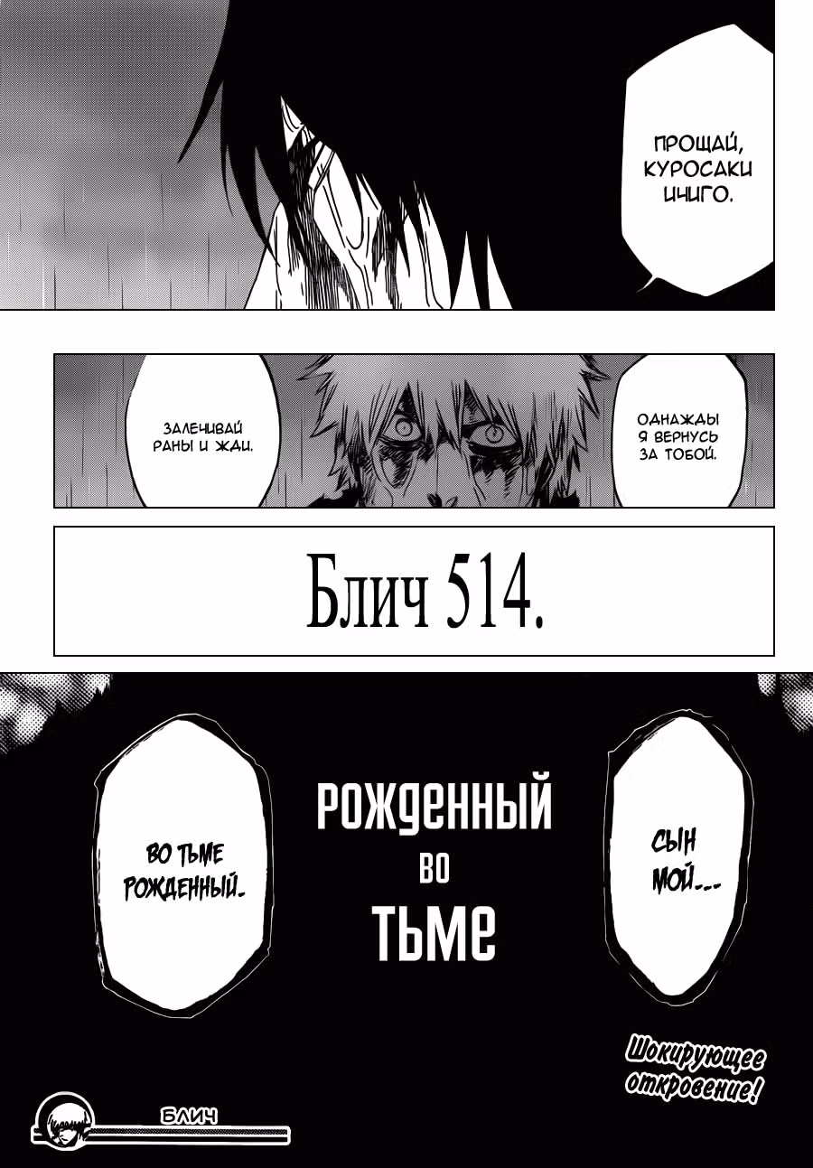 Блич — Том 58 · Глава 514, страница 17