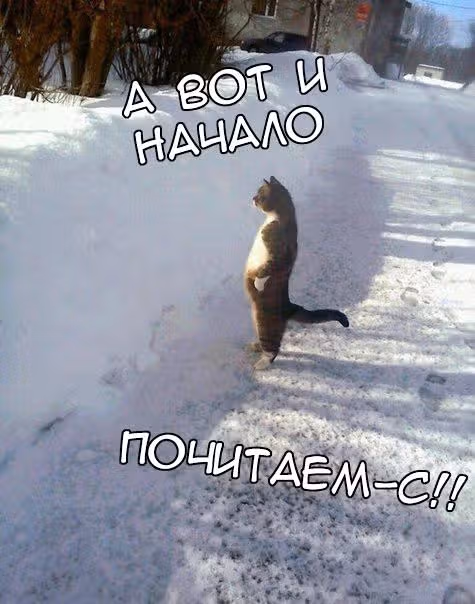 Школьницам опять нечего делать — Том 1 · Глава 1, страница 2