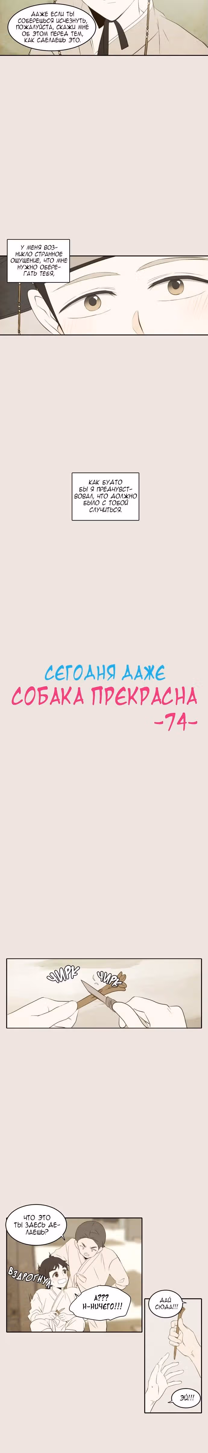 Сегодня даже собака прекрасна — Том 1 · Глава 74, страница 14