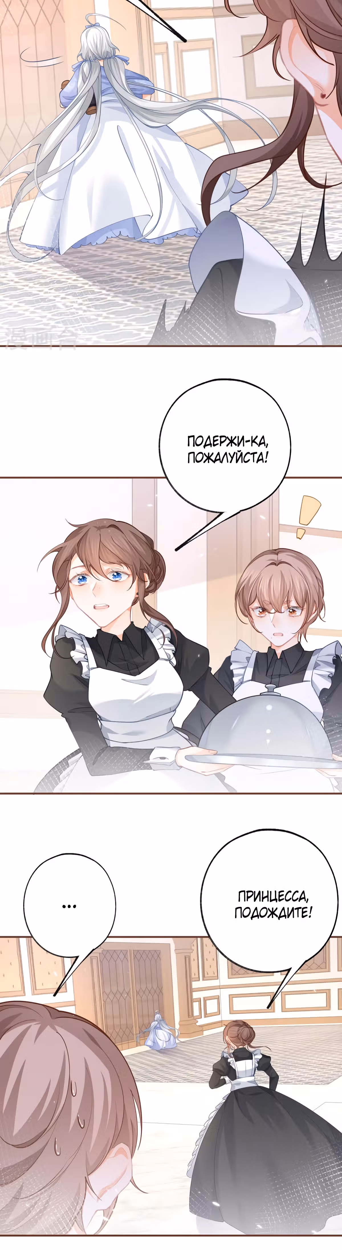 Принцесса жертва — Том 1 · Глава 95, страница 2