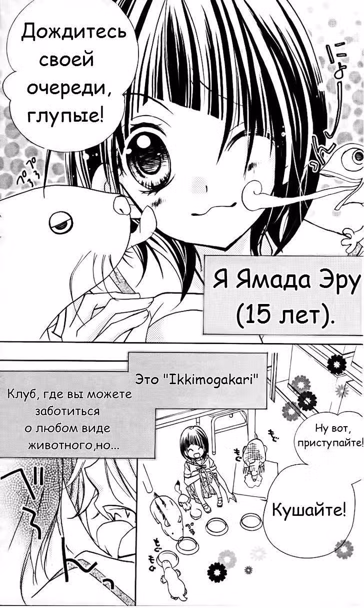 Класс 1-5, клуб "Живой уголок" — Том 2 · Глава 6, страница 6