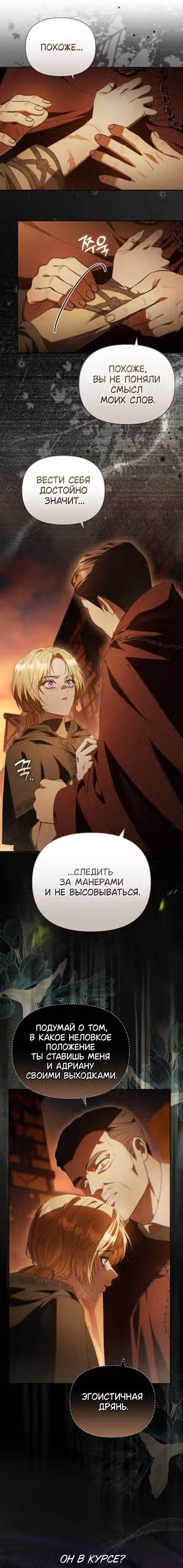 Золотой кавалер — Том 1 · Глава 48, страница 11