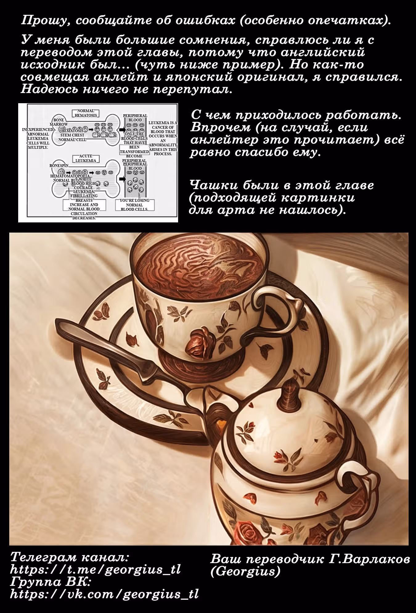 Лекарь другого мира — Том 11 · Глава 56, страница 23