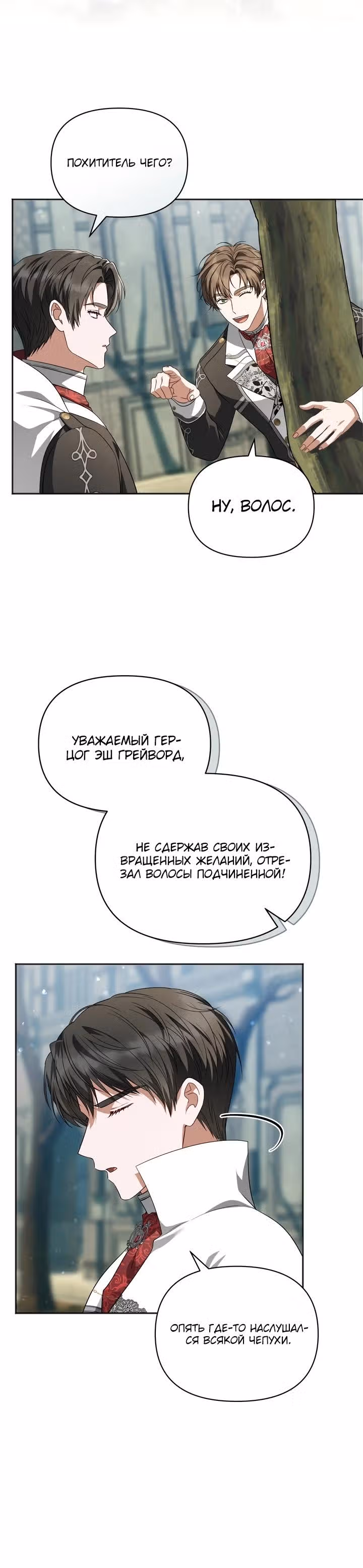 Золотой кавалер — Том 1 · Глава 9, страница 19