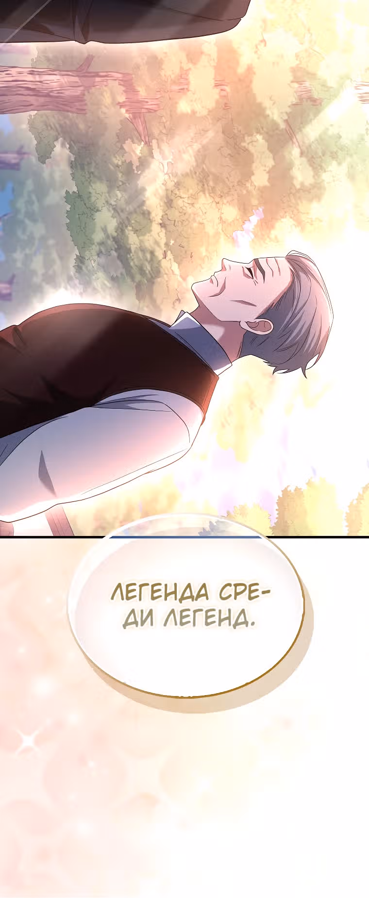 Всемогущий маг — Том 2 · Глава 47, страница 15