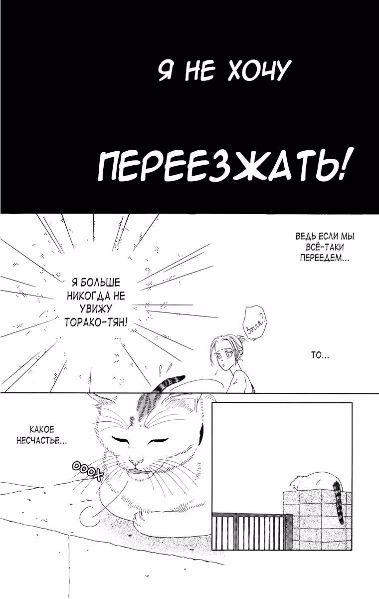 Кошачьи будни Зоччи — Том 1 · Глава 6, страница 2