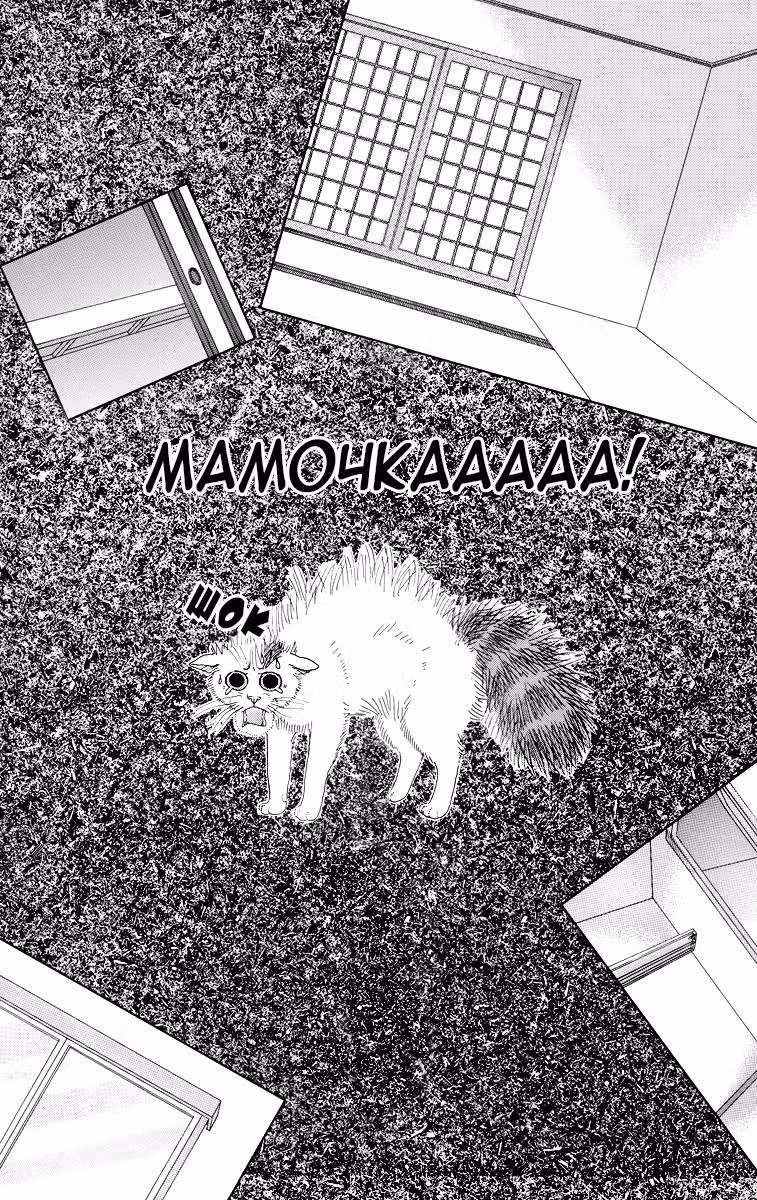 Кошачьи будни Зоччи — Том 1 · Глава 6, страница 16