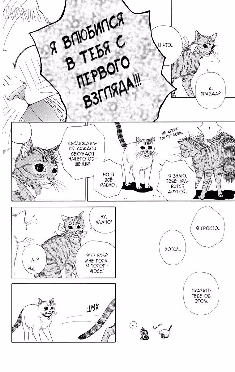 Кошачьи будни Зоччи — Том 1 · Глава 6, страница 10