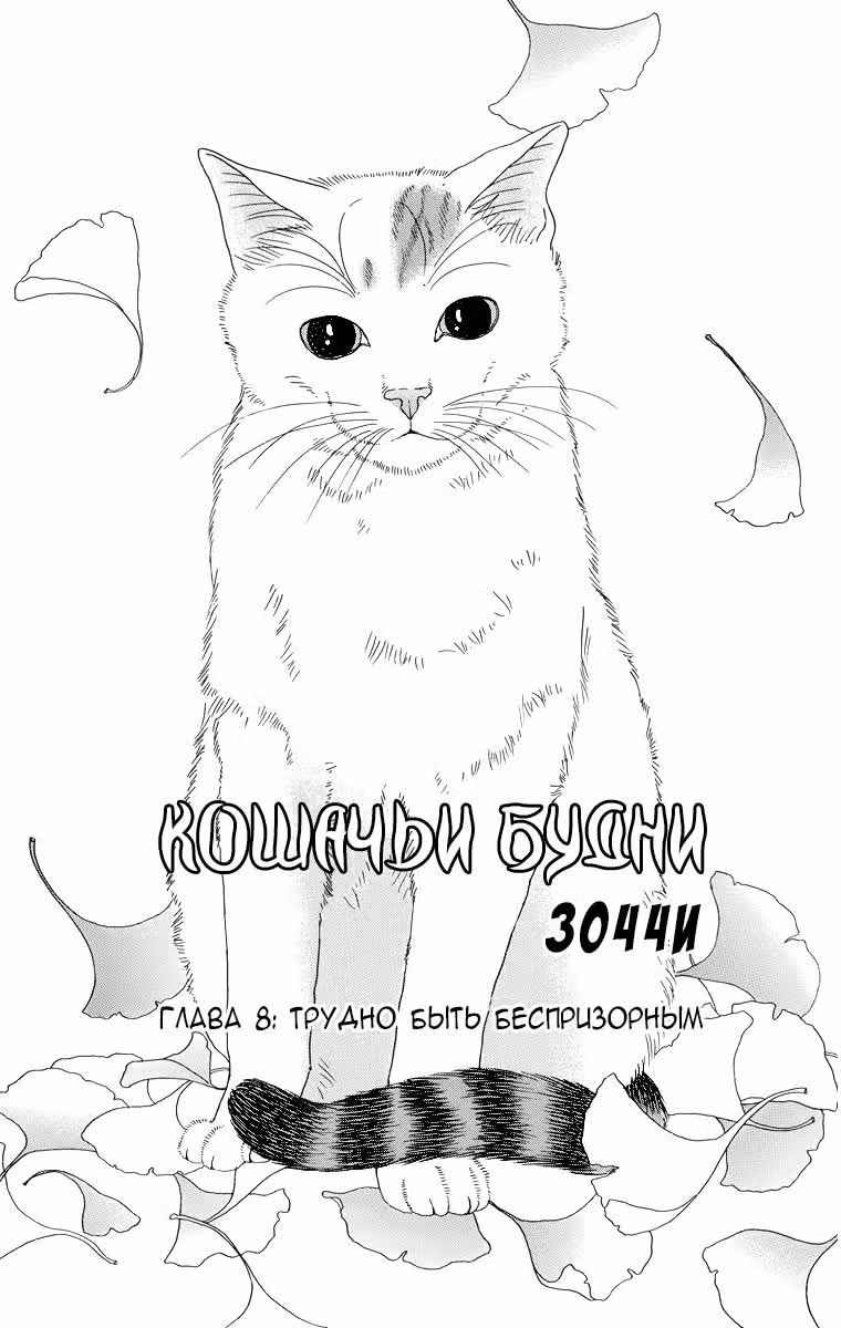 Кошачьи будни Зоччи — Том 1 · Глава 8, страница 1