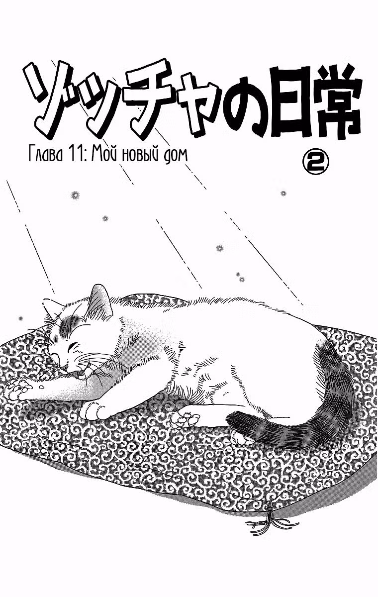 Кошачьи будни Зоччи — Том 2 · Глава 11, страница 3
