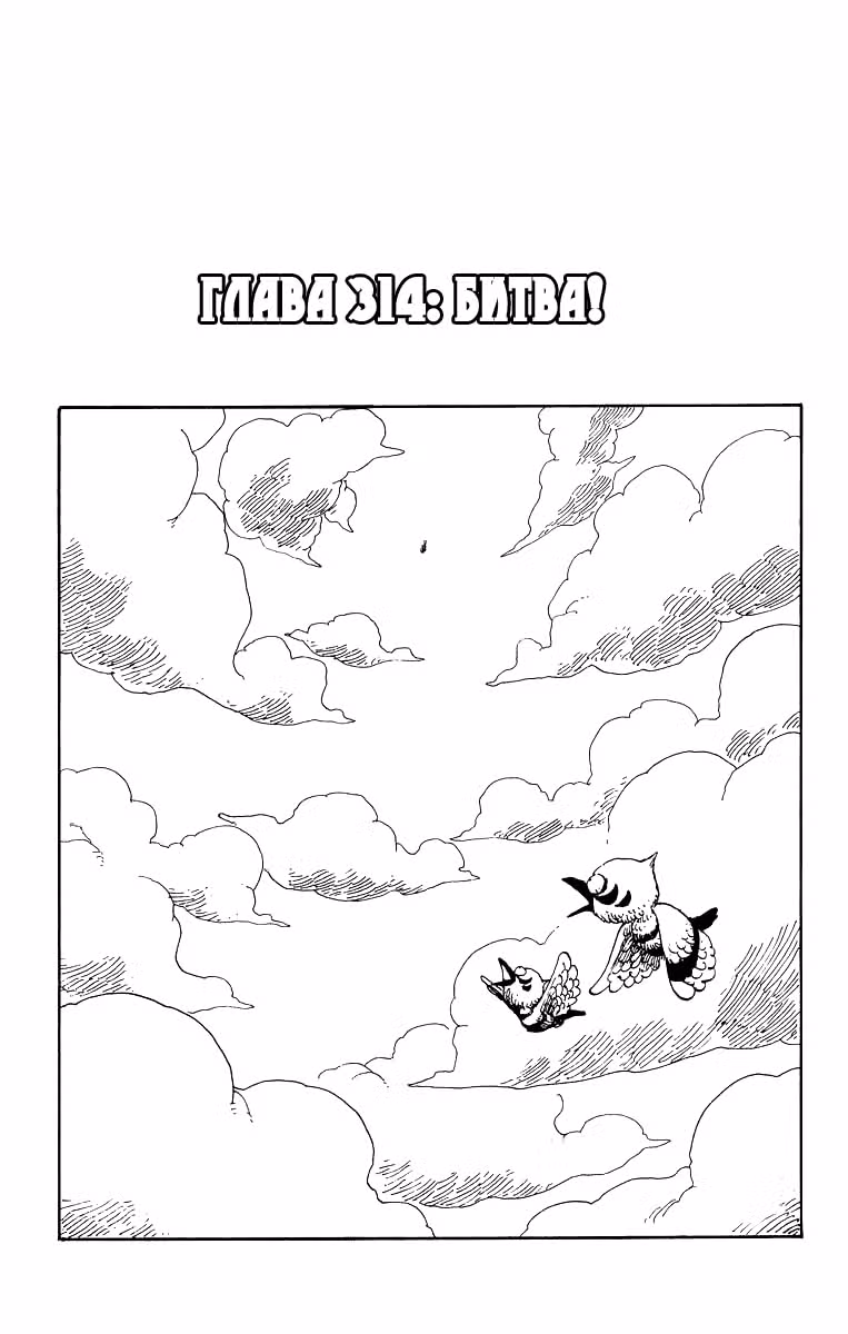Ван-Пис — Том 33 · Глава 314, страница 1