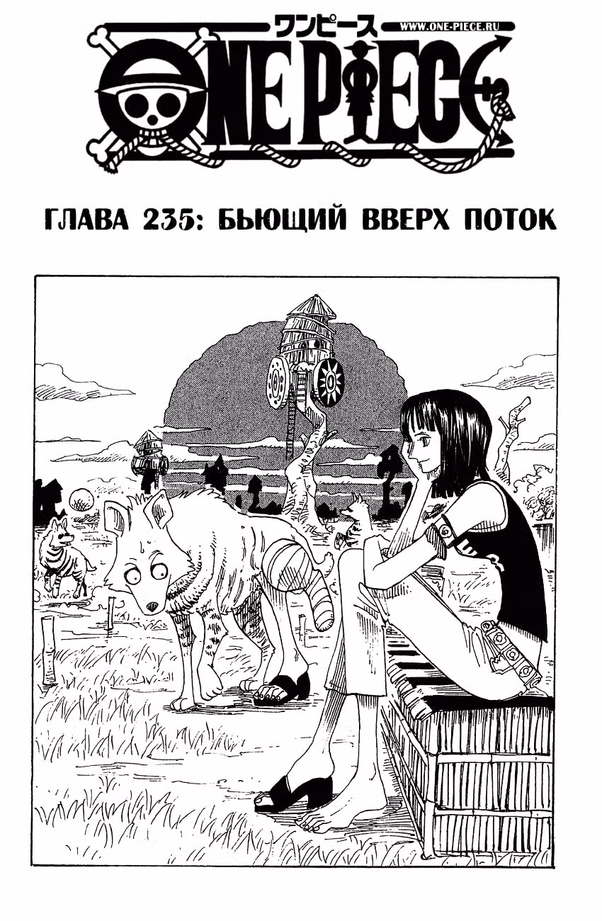 Ван-Пис — Том 25 · Глава 235, страница 2