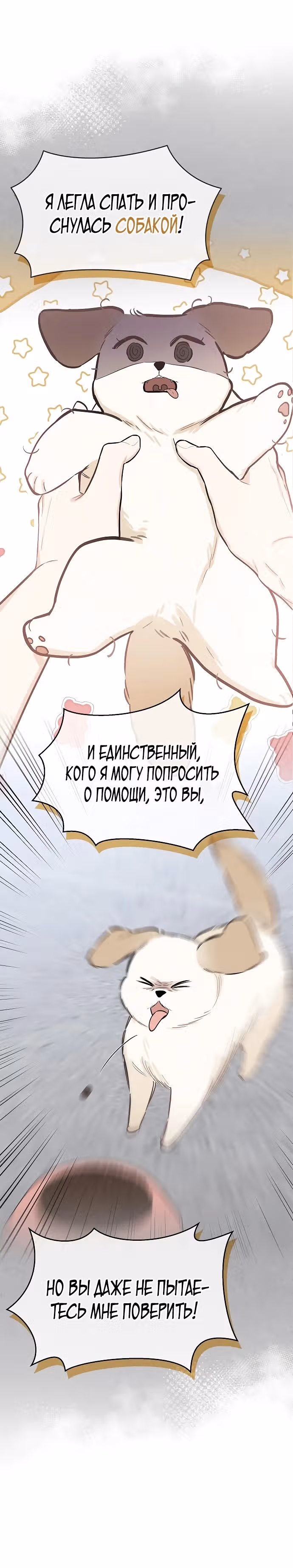 Я стала собакой президента — Том 1 · Глава 5, страница 15