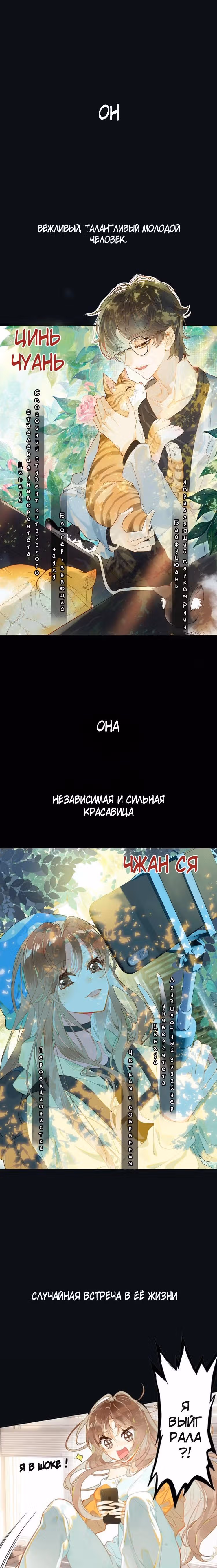 За тысячу миль через реку — Том 1 · Глава 0, страница 2