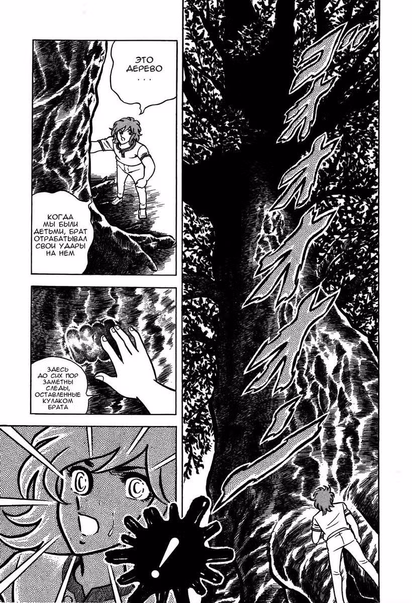 Святой Сейя — Том 3 · Глава 11, страница 7