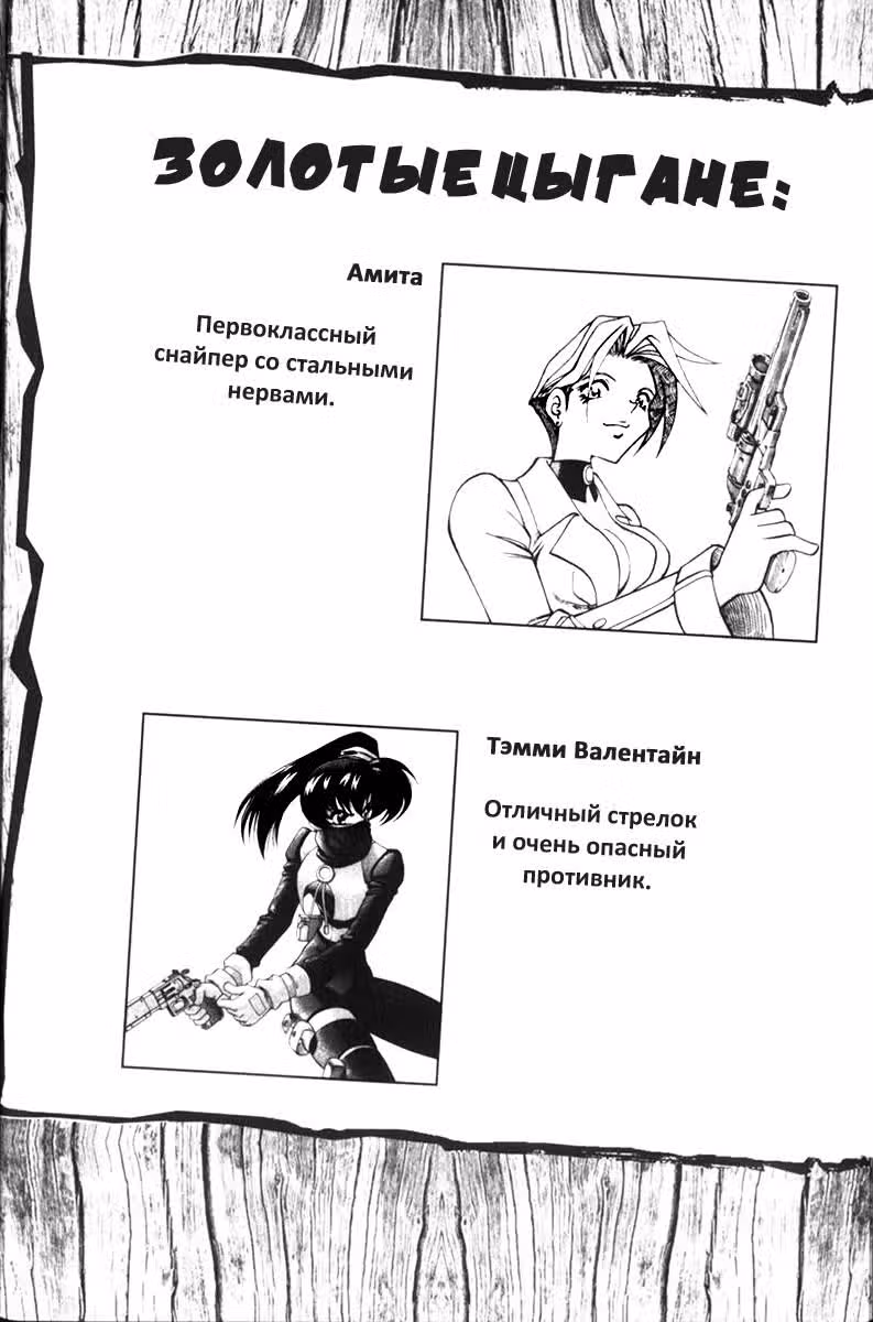 Стрелок с запада — Том 2 · Глава 11, страница 11