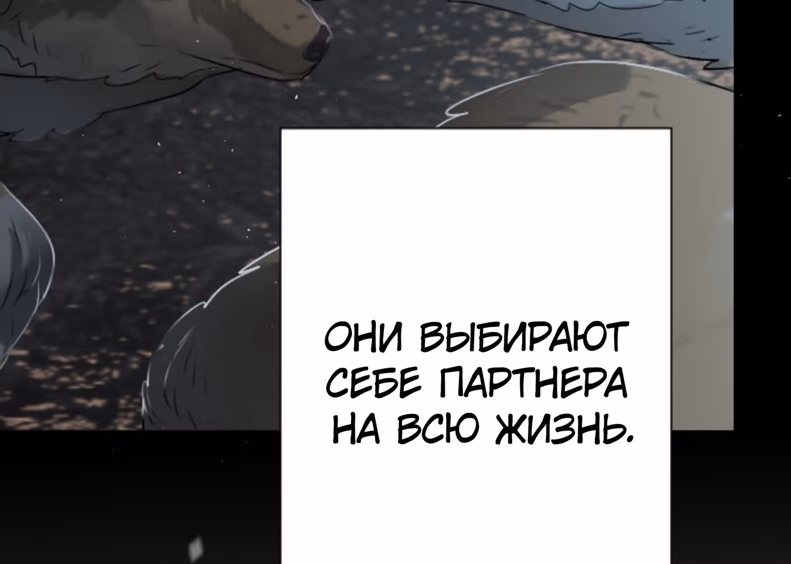 Мальчик Оборотень — Том 1 · Глава 0, страница 30